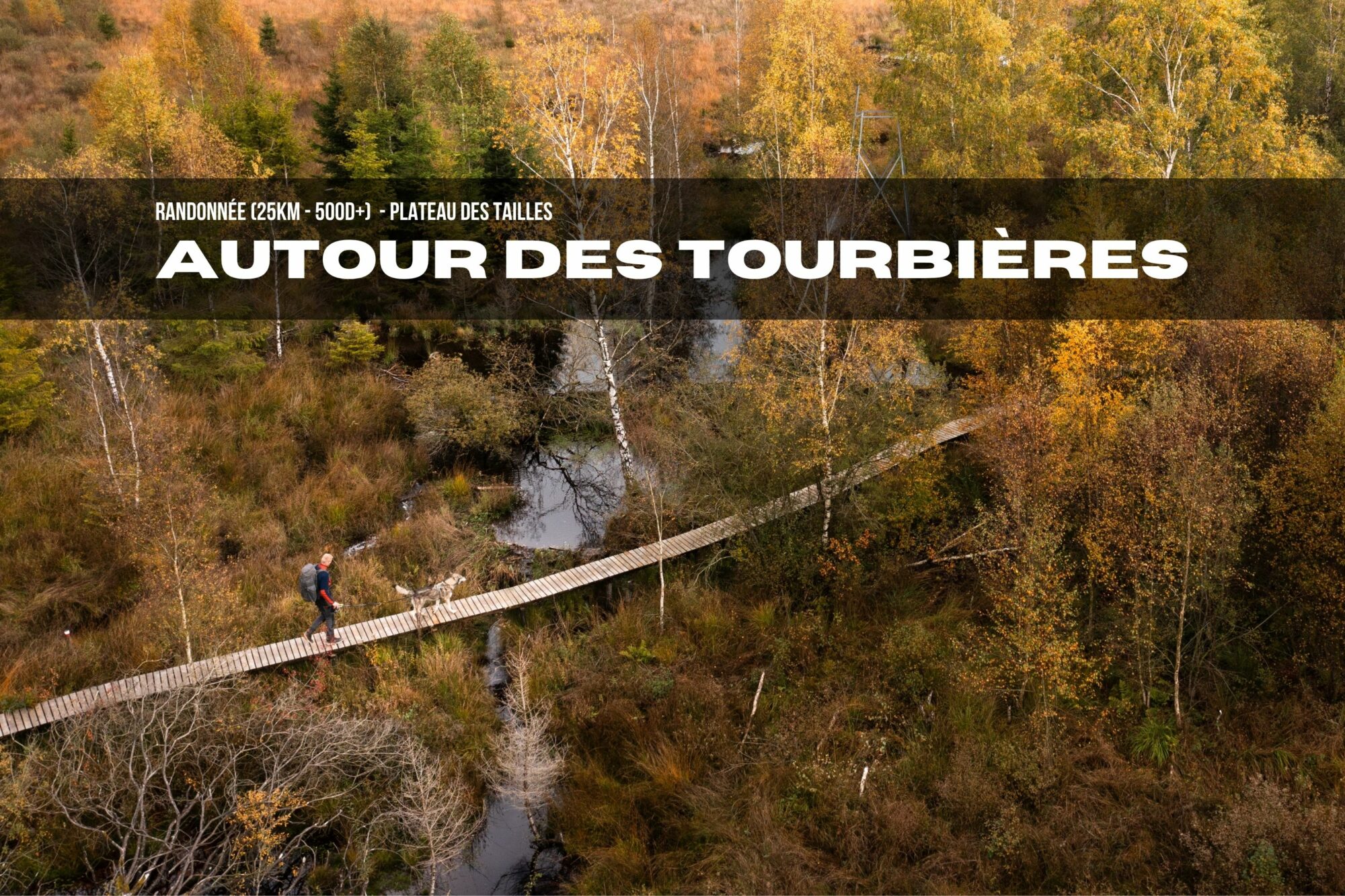 Randonnée autour des tourbières du Plateau des Tailles