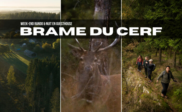 Week-end brame du Cerf en Ardenne